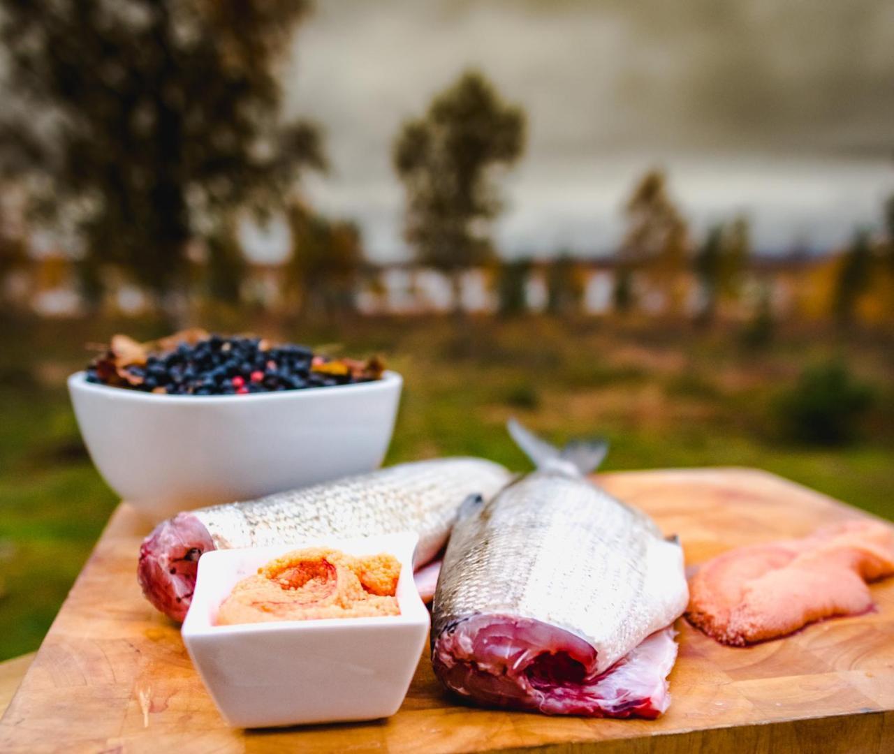 Arctic Gourmet Cabin キルナ エクステリア 写真